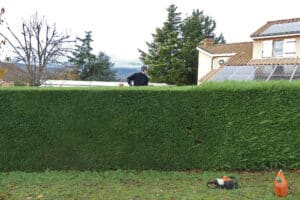 paysagiste macon Taille de haie à Mâcon